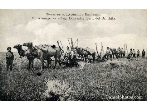 u0-weu-d2-20dfe48bd01846668a4c656bba01927c^pimgpsh_fullsize_distr